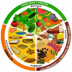 ALIMENTACION CORRECTA 
